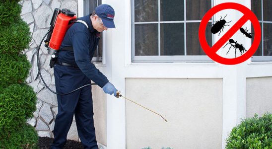 Güçlükonak Fare İlaçlama böcek ilaçlama ve haşere kontrolü — ilaclama-tr.com
